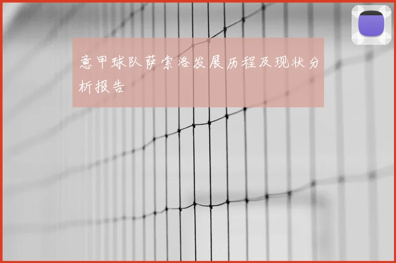 意甲球队萨索洛发展历程及现状分析报告