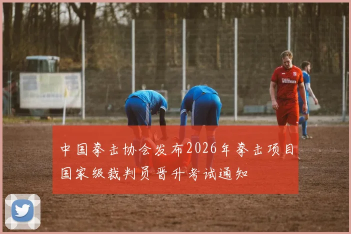 中国拳击协会发布2026年拳击项目国家级裁判员晋升考试通知