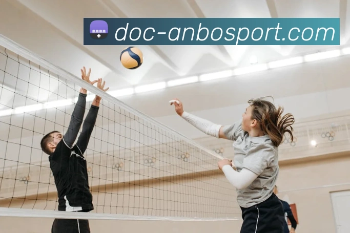 安博体育平台生态图